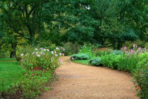 garden-path-59151_640