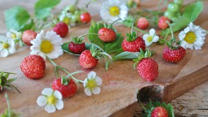 strawberries-1463806_960_720