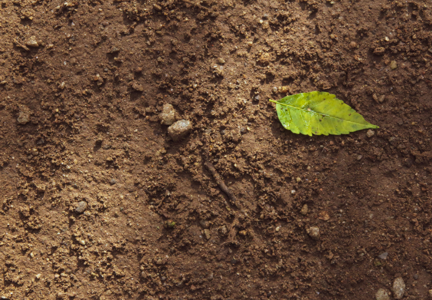 фото описание определение состава почвы