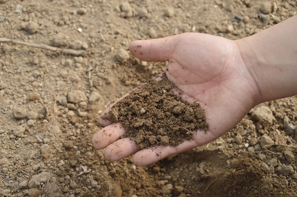 Как улучшить кислую почву