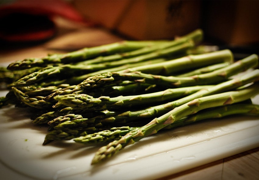 asparagus thielim
