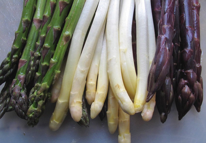 asparagus varities