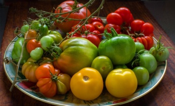 Преимущества высокорослых и низкорослых томатов