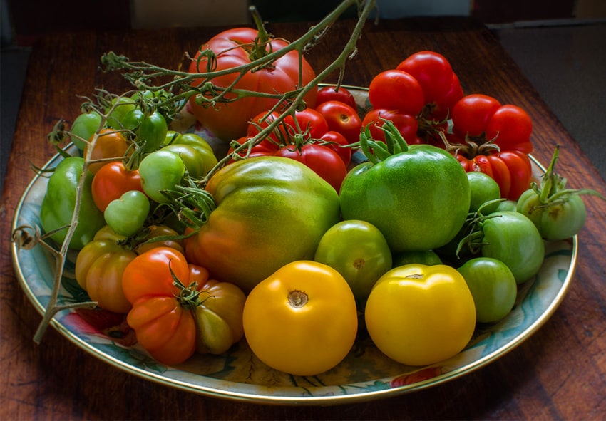 Преимущества высокорослых и низкорослых томатов фото описание