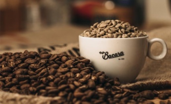 Виробництво кави Bacara