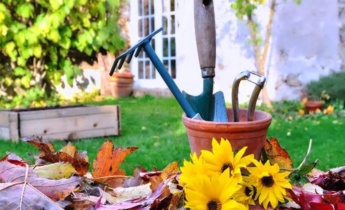 Які садові роботи необхідно обов’язково провести в листопаді