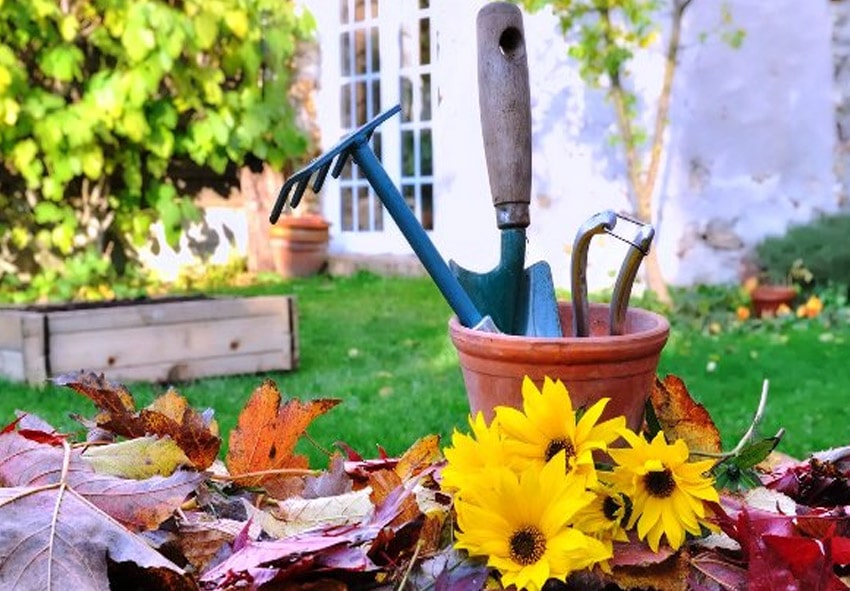 Які садові роботи необхідно обов’язково провести в листопаді фото опис