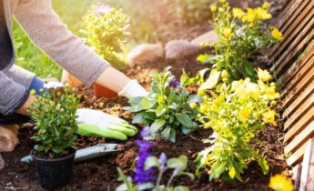 Садові роботи в квітні: розквіт весни, перше цвітіння та масова висадка