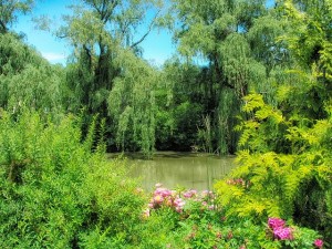 chicago-botanical-garden-190509_640
