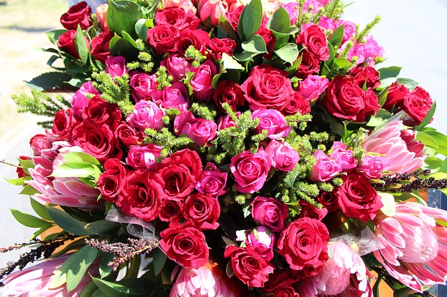 Мелкие розы: фото сортов с маленькими цветами, собранными в кисти