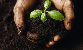 Как проверить готовность почвы к посевам?