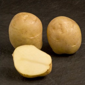 potato-jaerla-0_1