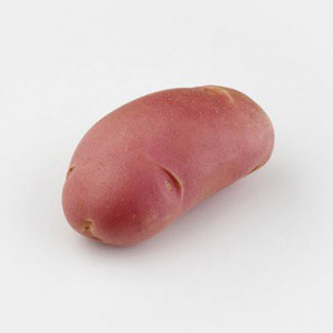 potato-memphis-2