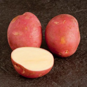 potato-mozart-3