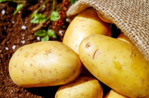 Семенной картофель фото, описание, смотреть