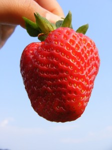 strawberry-87139_640