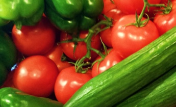 Можно ли выращивать огурцы и помидоры под одной крышей?