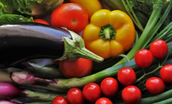 Как правильно сеять семена овощей, чтобы получить здоровую и крепкую рассаду?